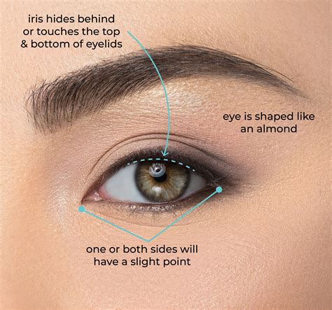 Almond shape eyes. Things To Know About Almond shape eyes. 